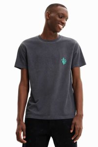 Pánské Polo Triko Desigual Krátké-sleeve washed-effect | 560319XLO