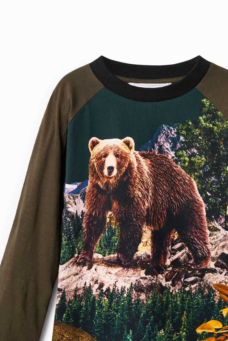 Chlapecké Tričko Desigual Long-sleeve bear | 627843DNO