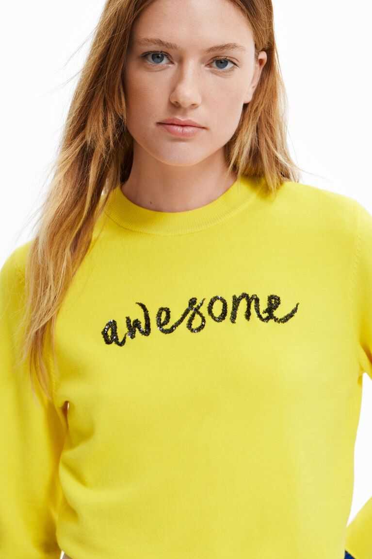 Dámské Svetry Desigual Awesome jumper | 092763ZEU