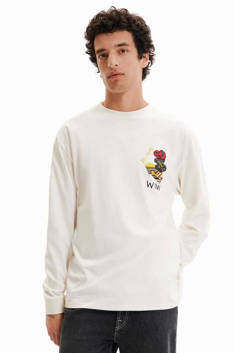 Pánské Polo Triko Desigual Long-sleeve illustration | 061895EDQ